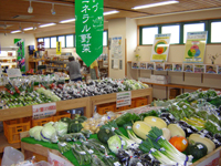 よりっせミネラル野菜売り場