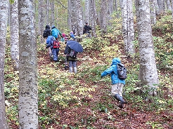 ｢西会津ぐるっと山ネットワーク｣が主催する第1回トレッキングイベント｢黄葉のブナ林と秘境の山を訪ねて｣