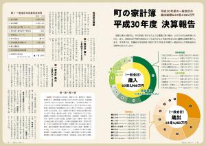 町の家計簿平成30年度決算報告