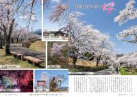 P8-9 西会津の春を彩る桜