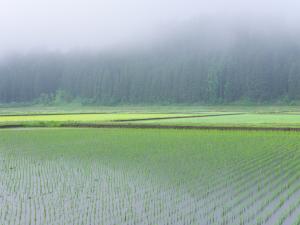 野沢・前山乙