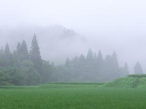 野沢・堰上