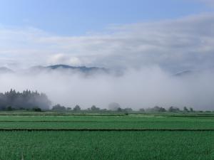 野沢・福島乙