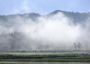 尾野本・鎧田