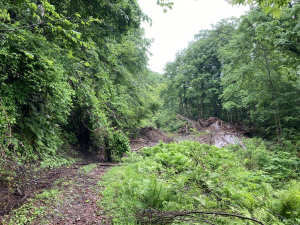 町道弥平四郎山荘線状況