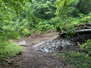町道弥平四郎山荘線状況