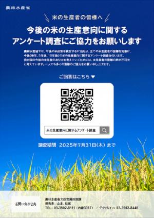 アンケート調査チラシ