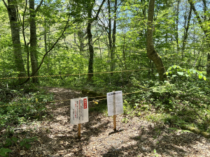 新長坂ルート登山道通行止め表示