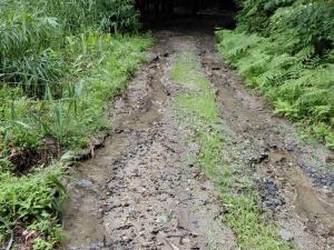 町道弥平四郎山荘線状況