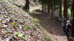 奥川･小屋のカタクリ群生地であったカタクリ鑑賞会