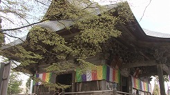 鳥追観音での若葉まつり