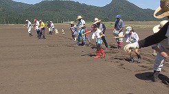 橋屋のそばの種蒔き体験